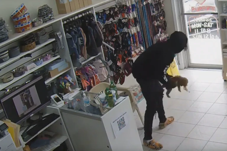 Video still of young man wearing all black picking up a small dog and heading to the exit of a store.