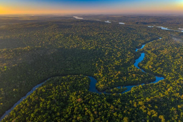 Imagem aérea mostra região de árvores cortada por um longo rio