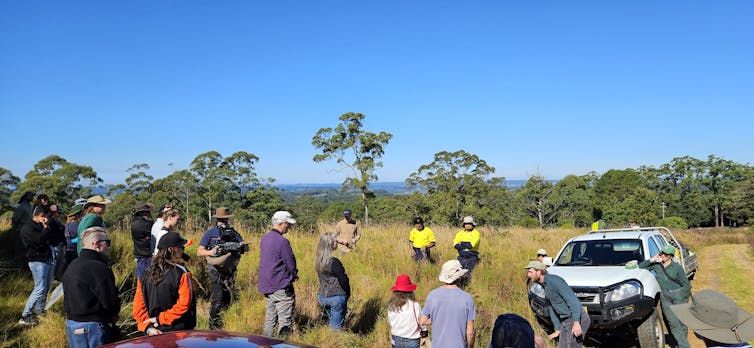 people in grassy area near ute