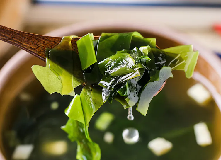 ¿Podemos alimentarnos a base de proteínas vegetales y mantenernos sanos? ¿Podemos alimentarnos a base de proteínas vegetales y mantenernos sanos?
