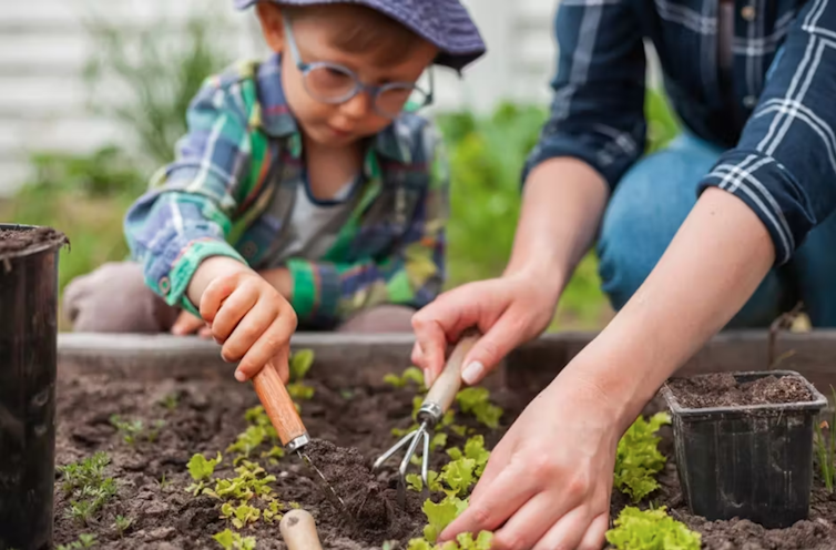 petit garçon qui jardine dans un potager avec une personne adulte