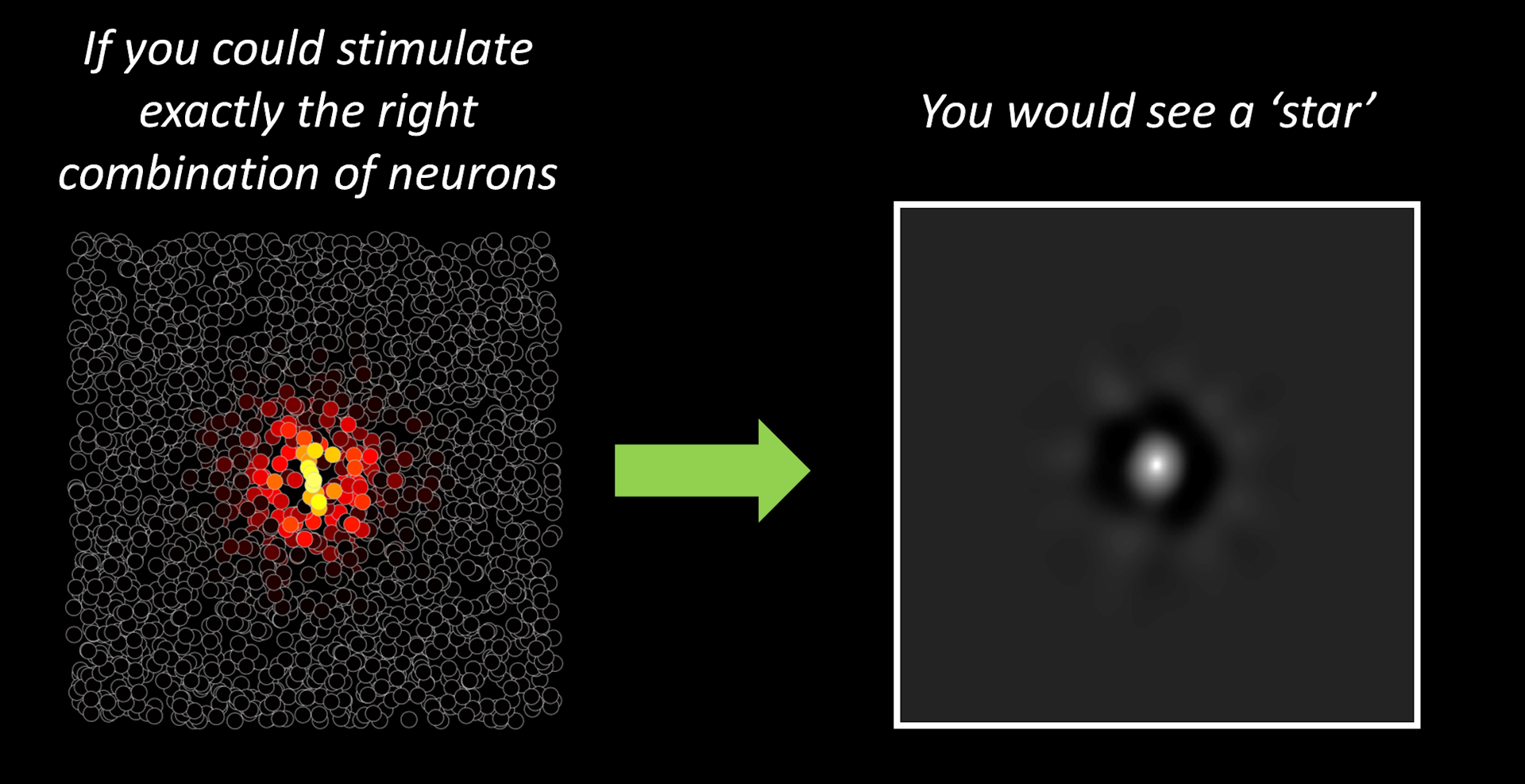 Left diagram shows a tiling of tiny empty circles representing neurons. A cluster of circles in the middle of this tiling are filled with red, orange and white to represent neuronal firing. Right side of diagram depicts a small, circular star aginst a gray background