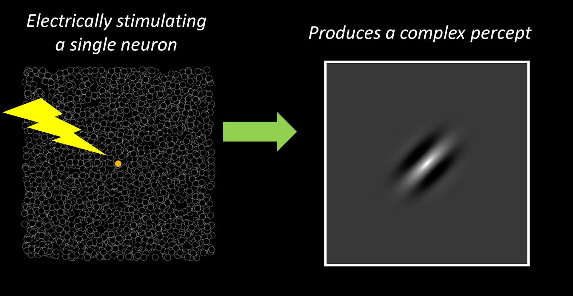 Left side of diagram shows a tiling of tiny empty circles representing neurons. One circle is filled in yellow, and a cartoon lightning bolt touching that little yellow circle represents that neuron being electrically stimulated. The right side of diagram depicts a small oriented grayscale blob stretched diagonally, representing the perception that might be produced by stimulating that neuron.
