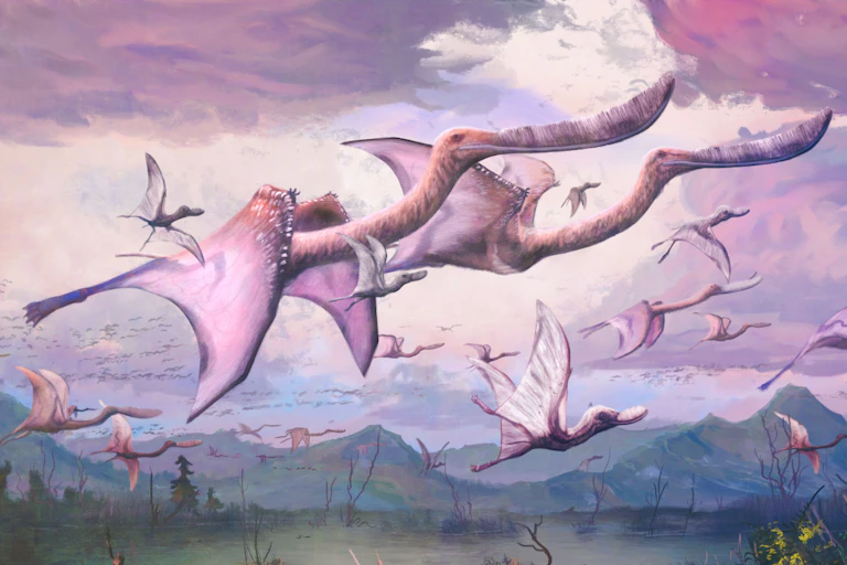 Artwork showing a flock of Pterodaustro guinazui pterosaurs.