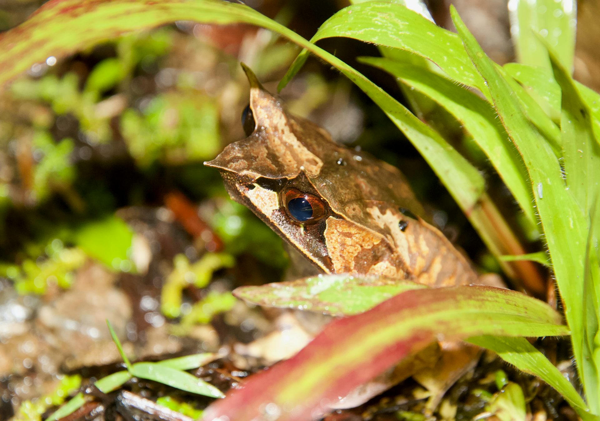 La carrera por publicar fotos de naturaleza en las redes sociales puede ...