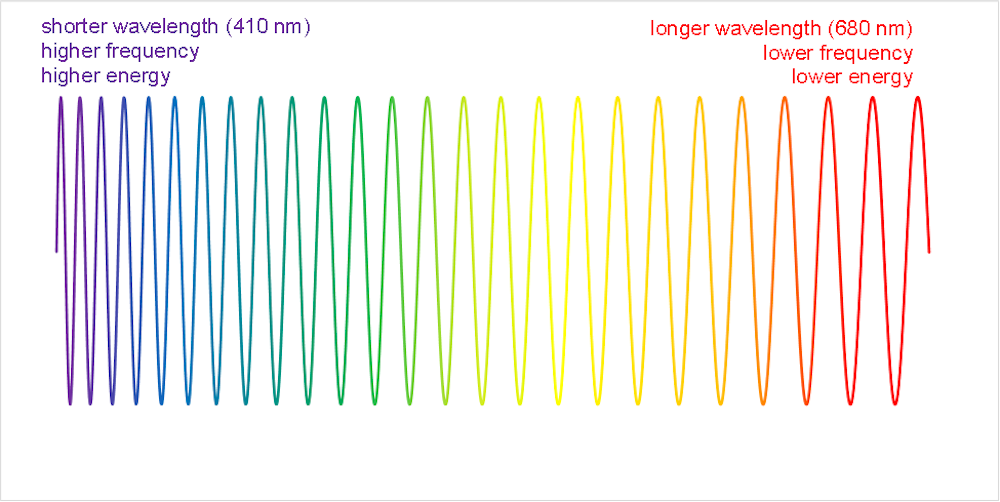 Where does black fall on the color spectrum? A color scientist explains