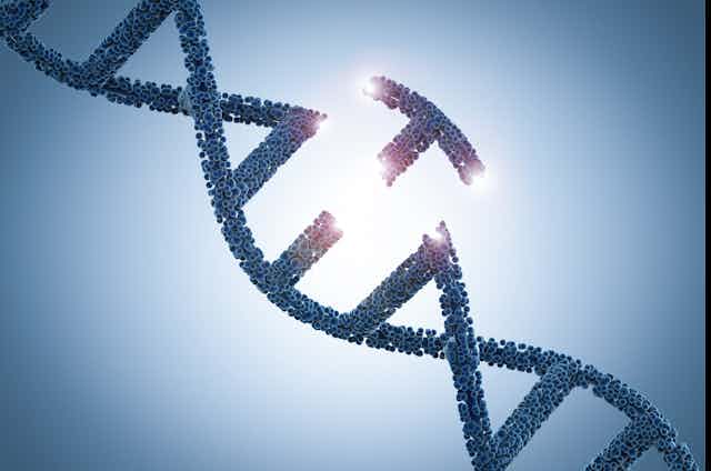 An illustration of a DNA double helix, with a piece of it broken off.
