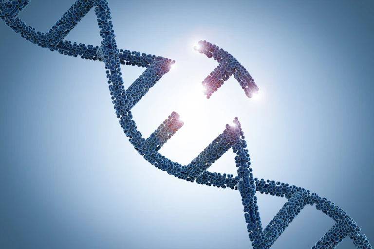 An illustration of a DNA double helix, with a piece of it broken off.