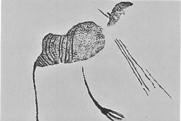 A rock art image that appears to depict a bird-human hybrid