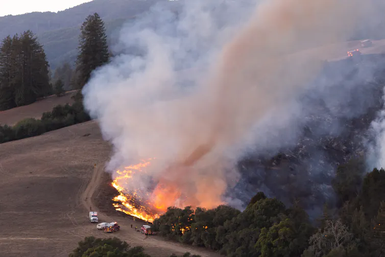 A vortex of smoke towers above a wildfire attended by fire engines.