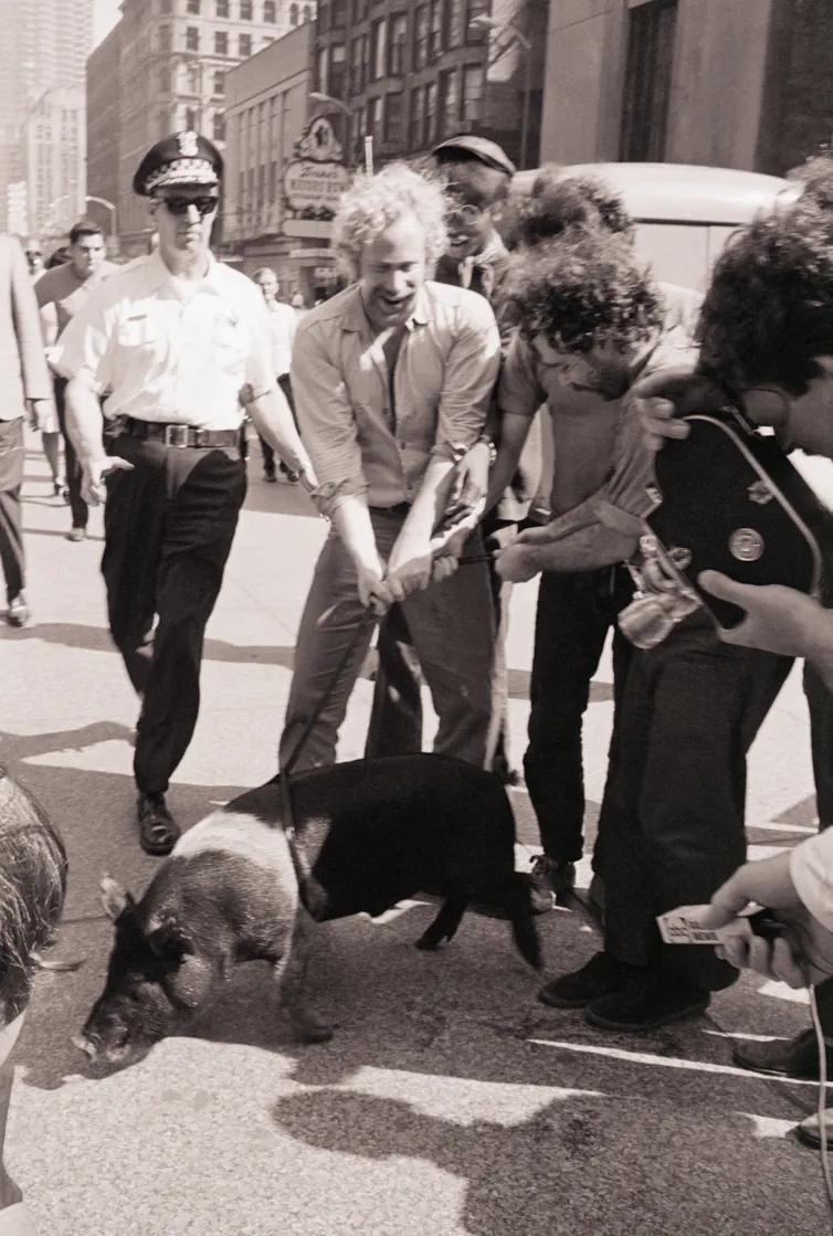 Several men hold the leash of a pig, while one man in police uniform approaches, in a black and white photo