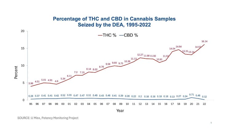 Gráfico com uma subida estável mostra aumento da percentual de THC entre 1995 e 2022