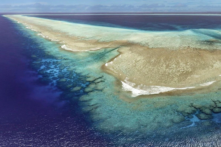 pristine coral reef