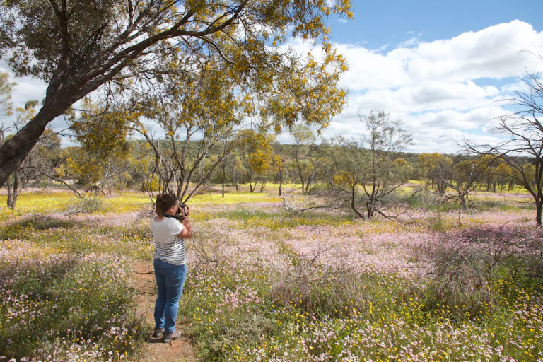woman photographing wildflowers