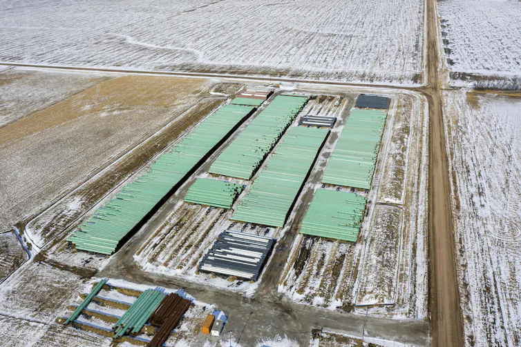 Rows of pipes sit in a snowy field.
