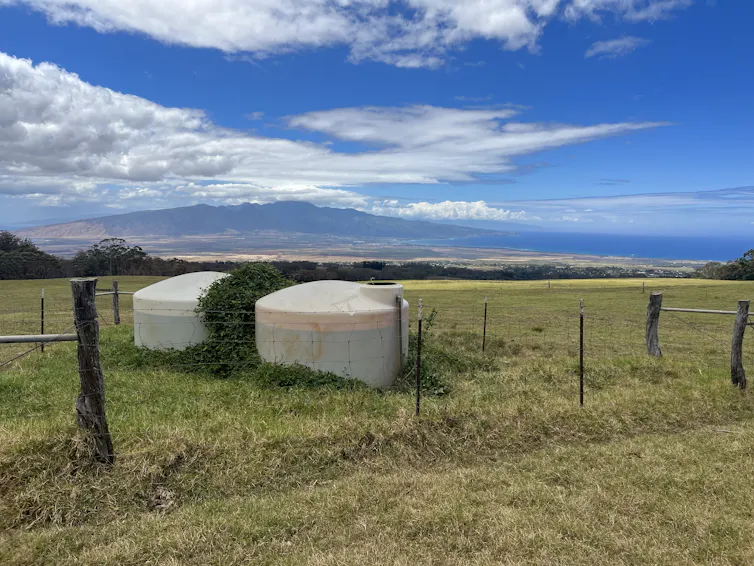 Two water tanks in a field.