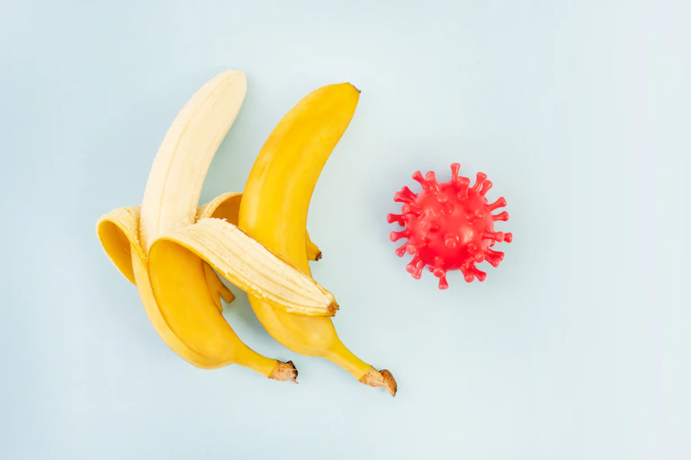 two bananas, one peeled, one unpeeled, flat on blue background with red plastic toy representing virus on right side