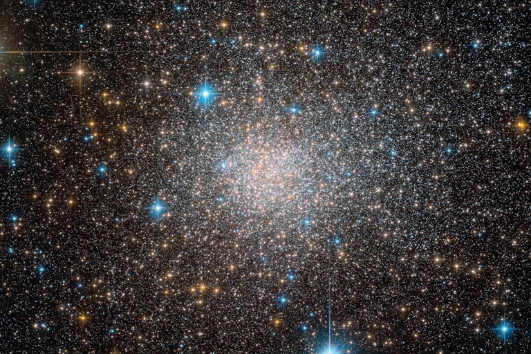 Photo of a dense cluster of stars.