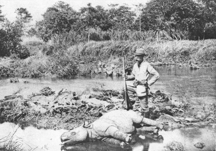 A black-and-white photograph of a colonial hunter with a rifle standing above a dead rhino.