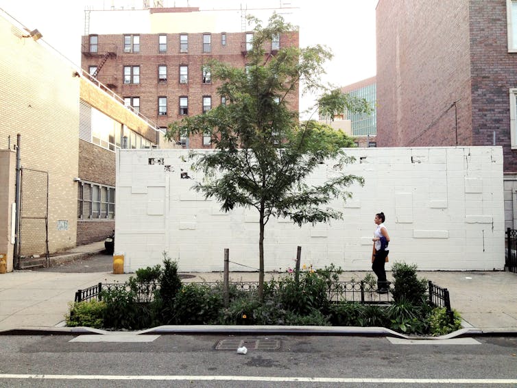 A person walks past a cut out from the street that is planted with grasses and trees.