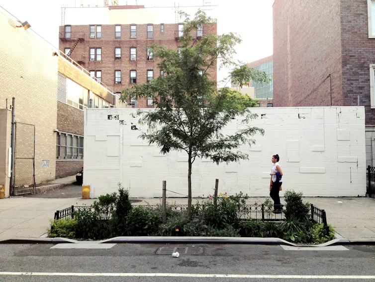 A person walks past a cut out from the street that is planted with grasses and trees.