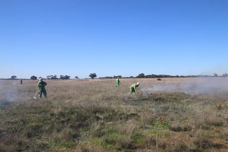 A field under blue skies with people in ranger clothing undertaking controlled burns with minimal smoke.