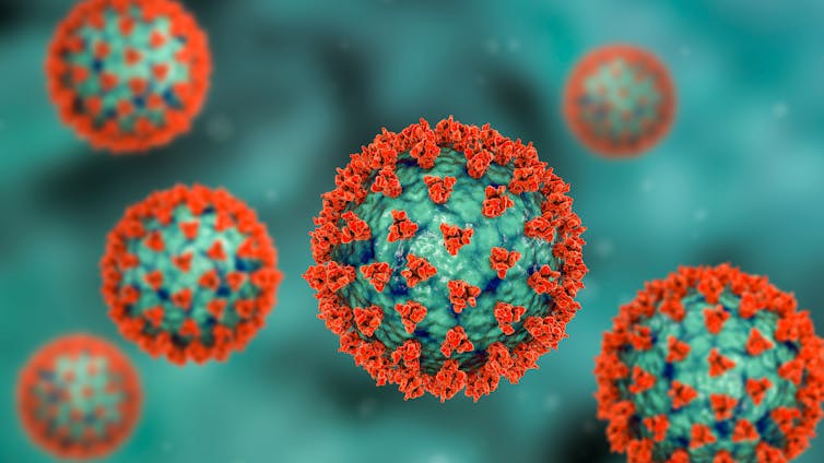 An illustration of SARS-CoV-2, the virus that causes COVID.