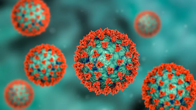 An illustration of SARS-CoV-2, the virus that causes COVID.