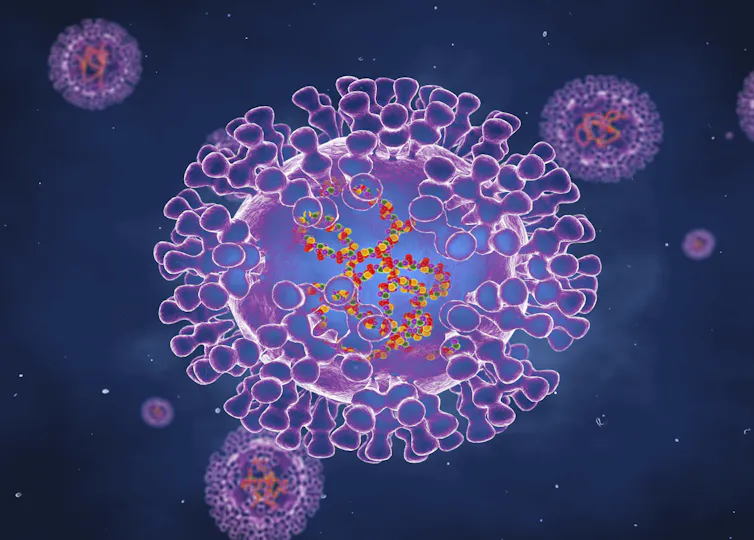 Virus illie
