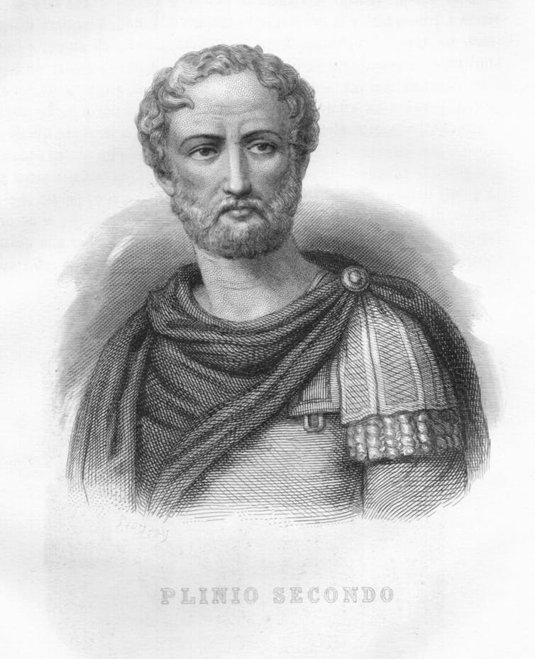 A portrait of what Pliny the Elder may have looked like