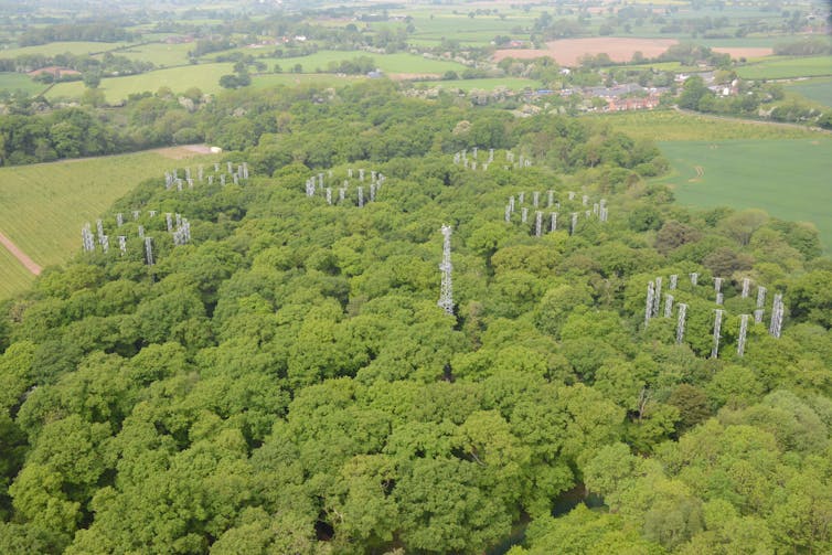 Aerial view of woodland with tall pipes