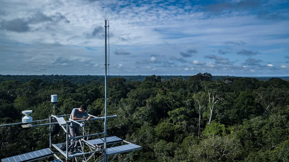 Extra Forest We pumped extra CO₂ into an oak forest and discovered trees will be ...