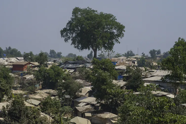 A tree stands in the midst of refugee camp tents and shelters.