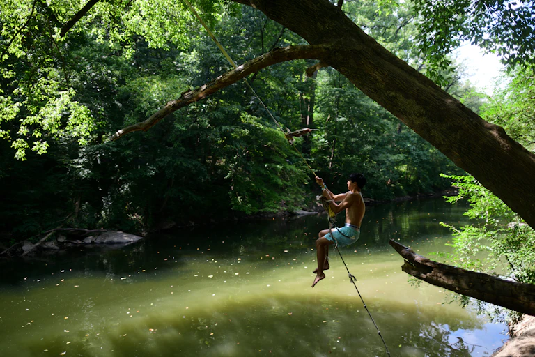 Person swings from a rope over a creek in a lush forest
