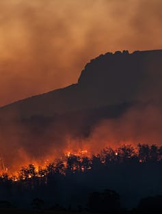 Silhouette of trees seen burning at sunset during a bushfire.