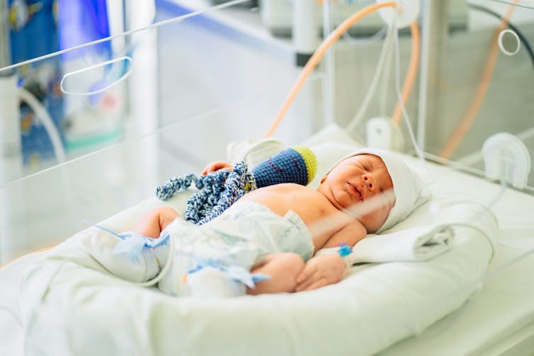 A newborn baby in a hospital incubator.
