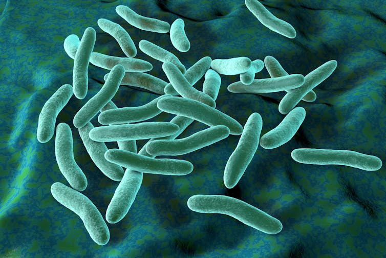 A 3D illustration of marine bacteria.