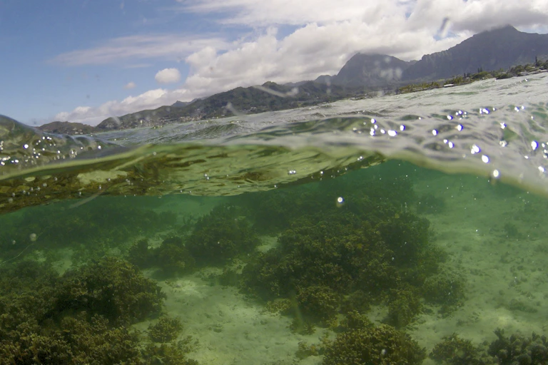 photo showing ocean with mountains in background