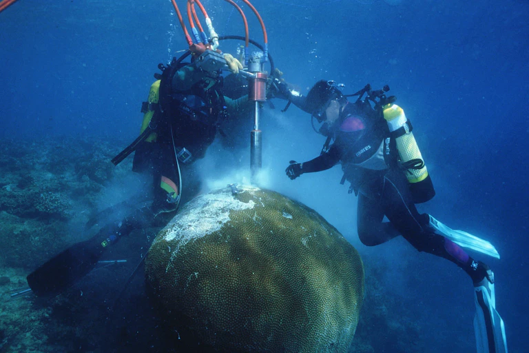 Two scuba divers drilling into a coral