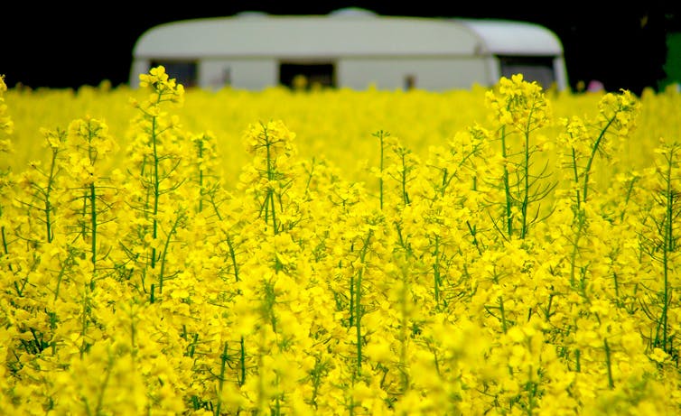 Suka gorengan? Perhatikan minyak goreng yang bisa dimakan dan sebaiknya dihindari 9 Suka gorengan? Perhatikan minyak goreng yang bisa dimakan dan sebaiknya dihindari