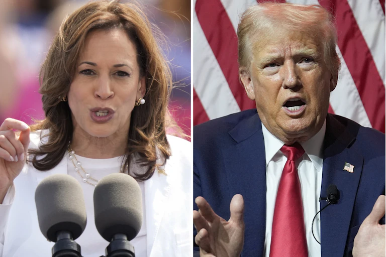A dark-haired woman in front of microphones and a light-haired man talking with his hands, side by side in photos.