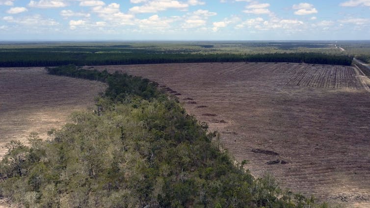 A landscape with some patches of bush and large cleared areas