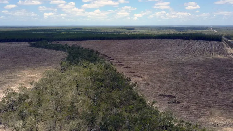 A landscape with some patches of bush and large cleared areas