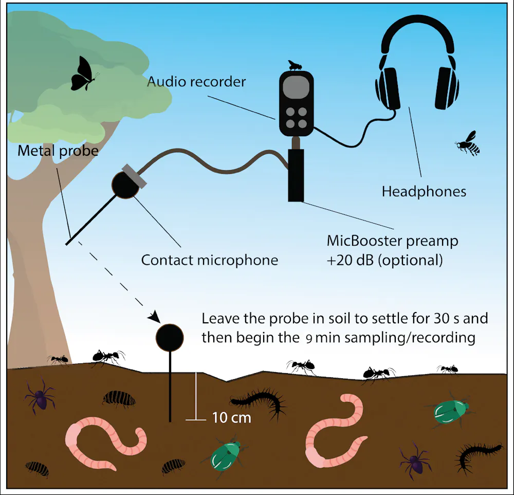 Microphonic Farming Crackles, clicks and pops – now we can monitor the ‘heartbeat’ of soil