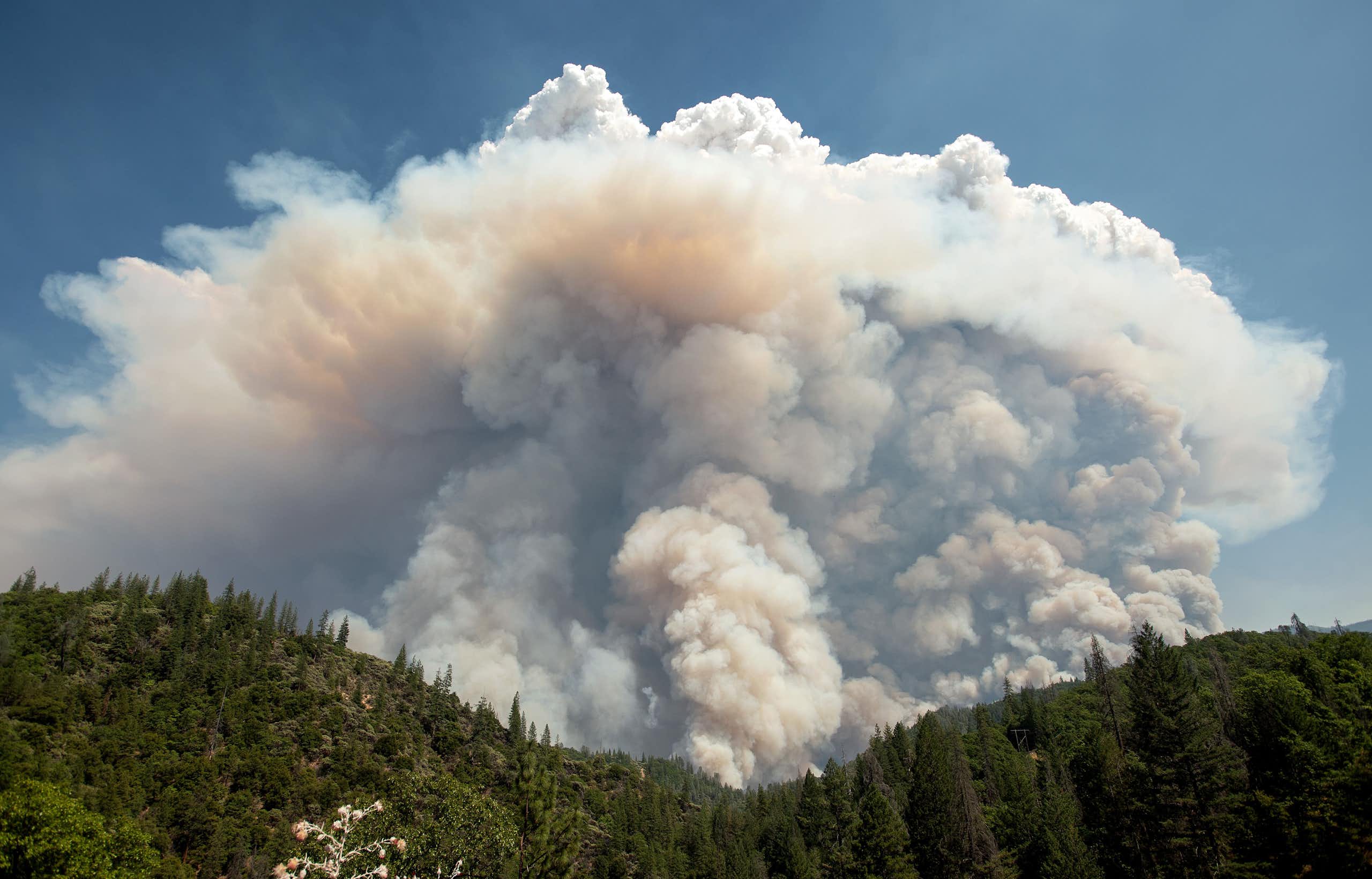 A large cloud over smoke and a forest with blue sky everywhere else.
