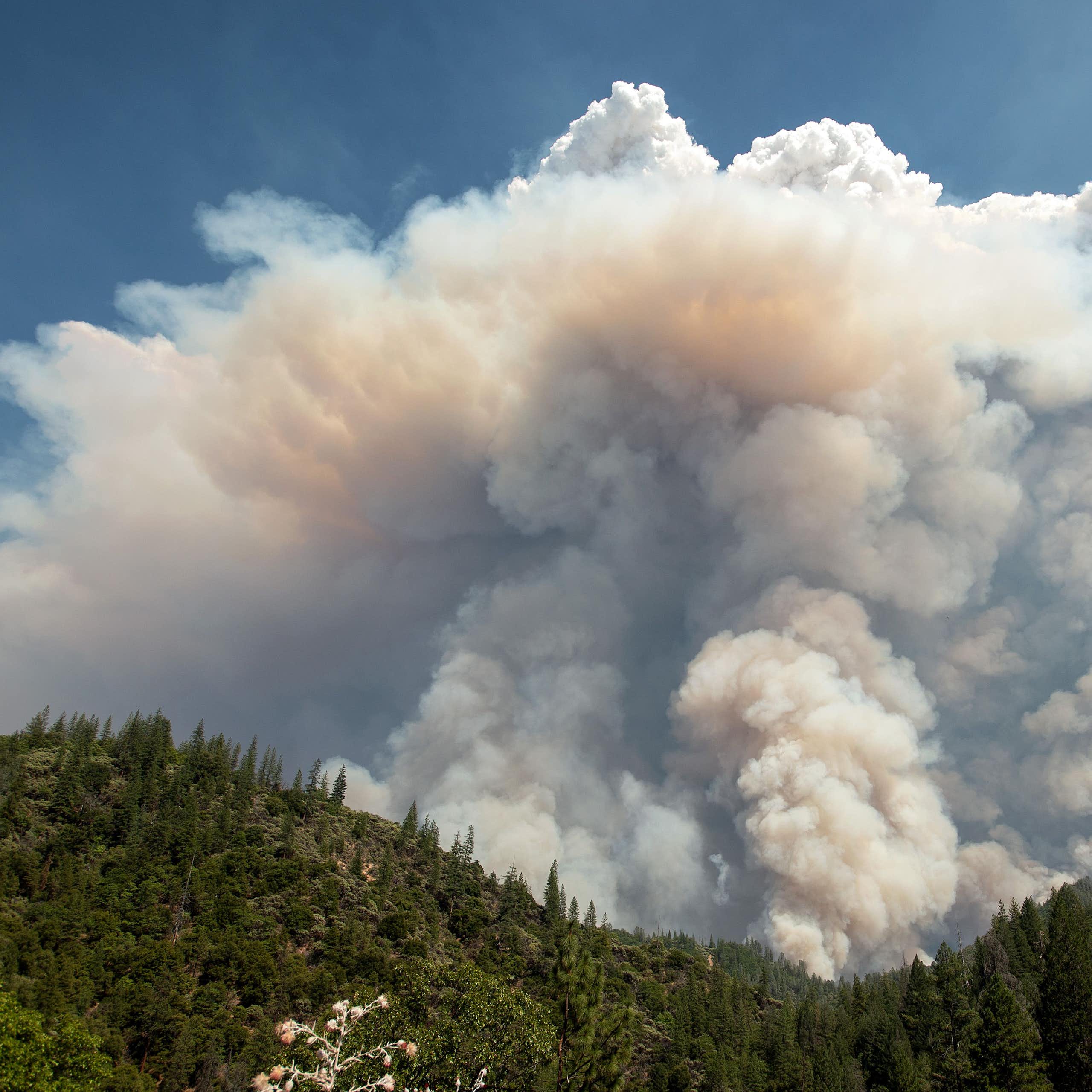 A large cloud over smoke and a forest with blue sky everywhere else.
