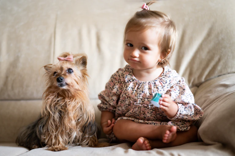 Small dog sitting on sofa with baby girl