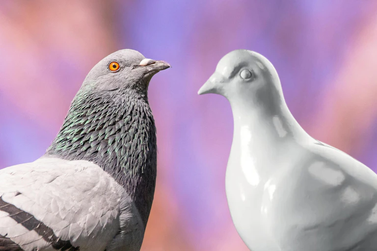 White porcelain pigeon with a gold poop splatter
