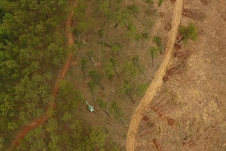land clearing, drone shot, queensland