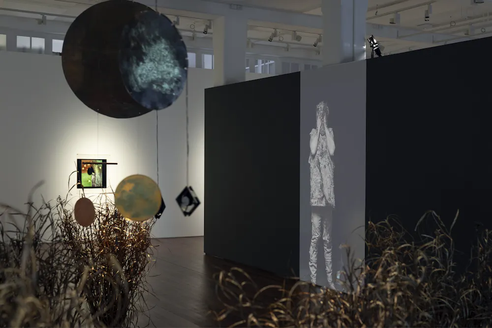 Ecological Art Strategies photo
